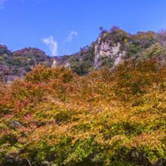 宇甘渓